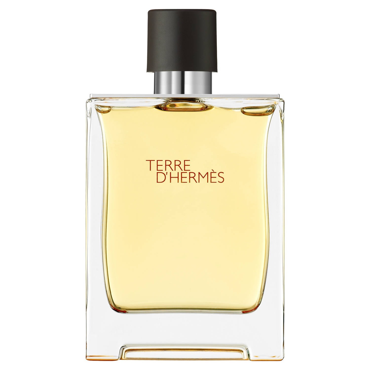 Hermes Terre d'Hermès - Parfum 100 ml